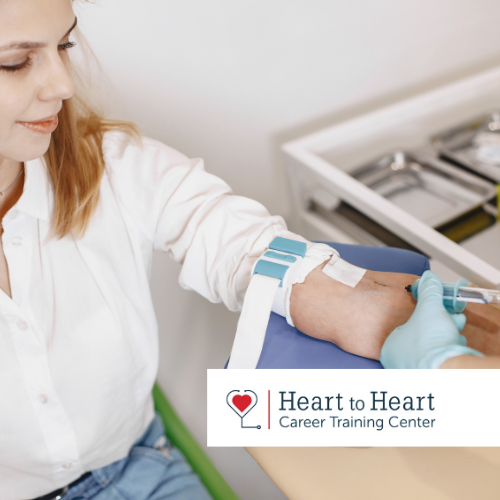 Phlebotomy & EKG Technician Bundle