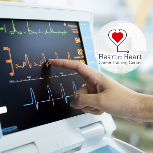Phlebotomy & EKG Technician Bundle
